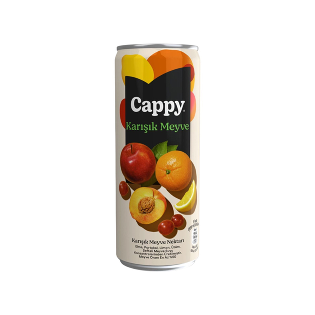 CAPPY KARIŞIK MEYVE SUYU